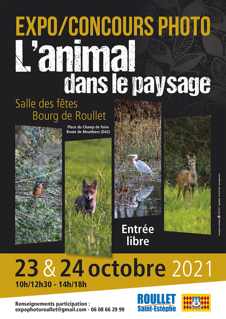 Affiche expo concours l'animal dans le paysage organisé par la mairie de Roullet. Atelier Focale 16 participe